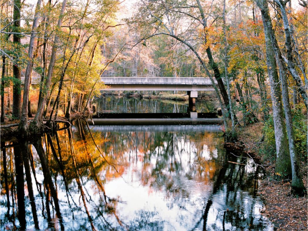 Main image US-401 Bridge over Lumber River