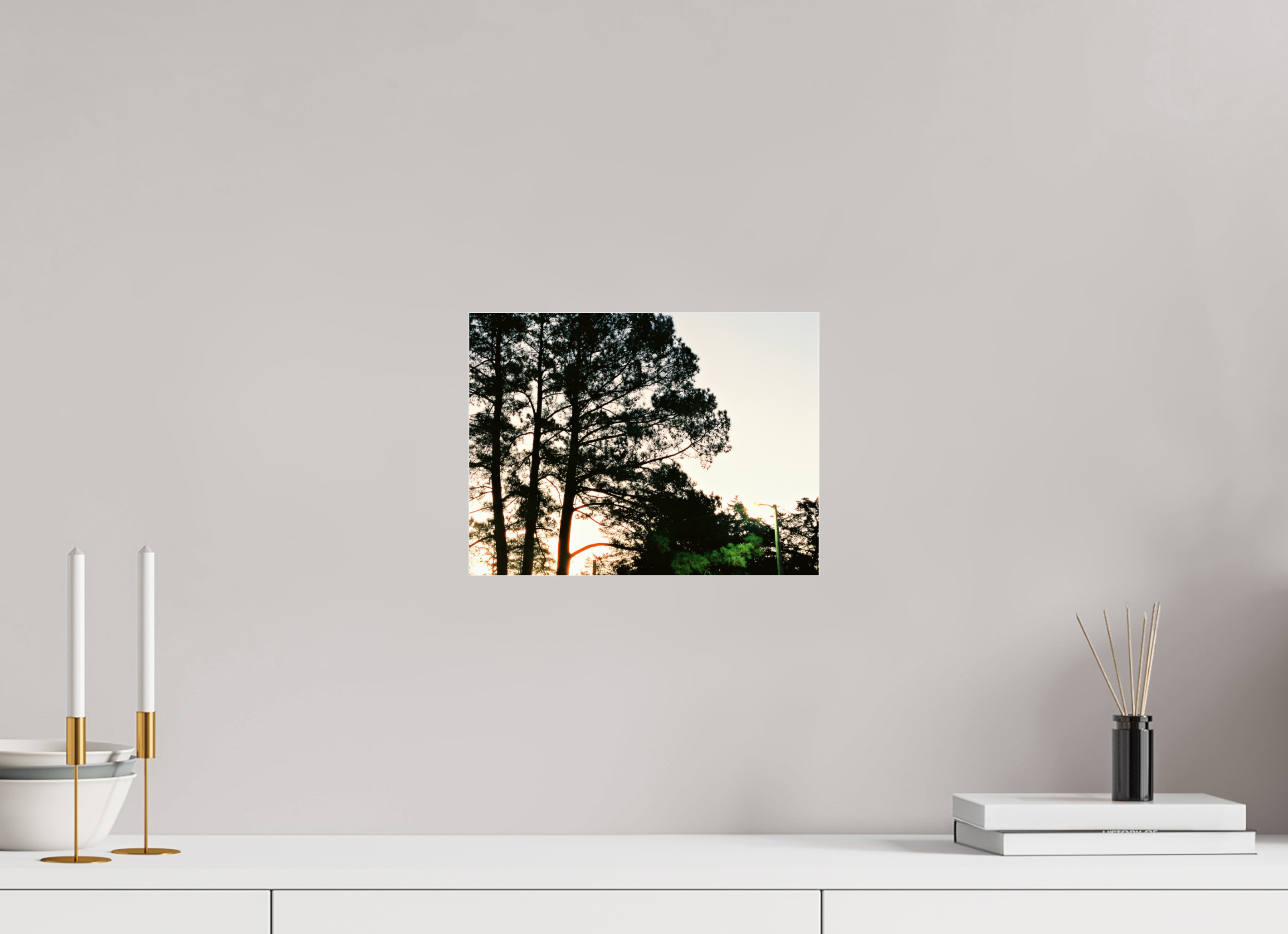 12 x 9″, Photo Print Under Acrylic Glass Pine Trees at Dawn No. 2