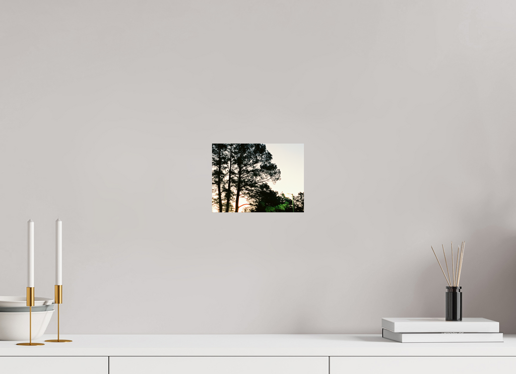 8 x 6″, Photo Print On Fuji Crystal DP II Pine Trees at Dawn No. 2