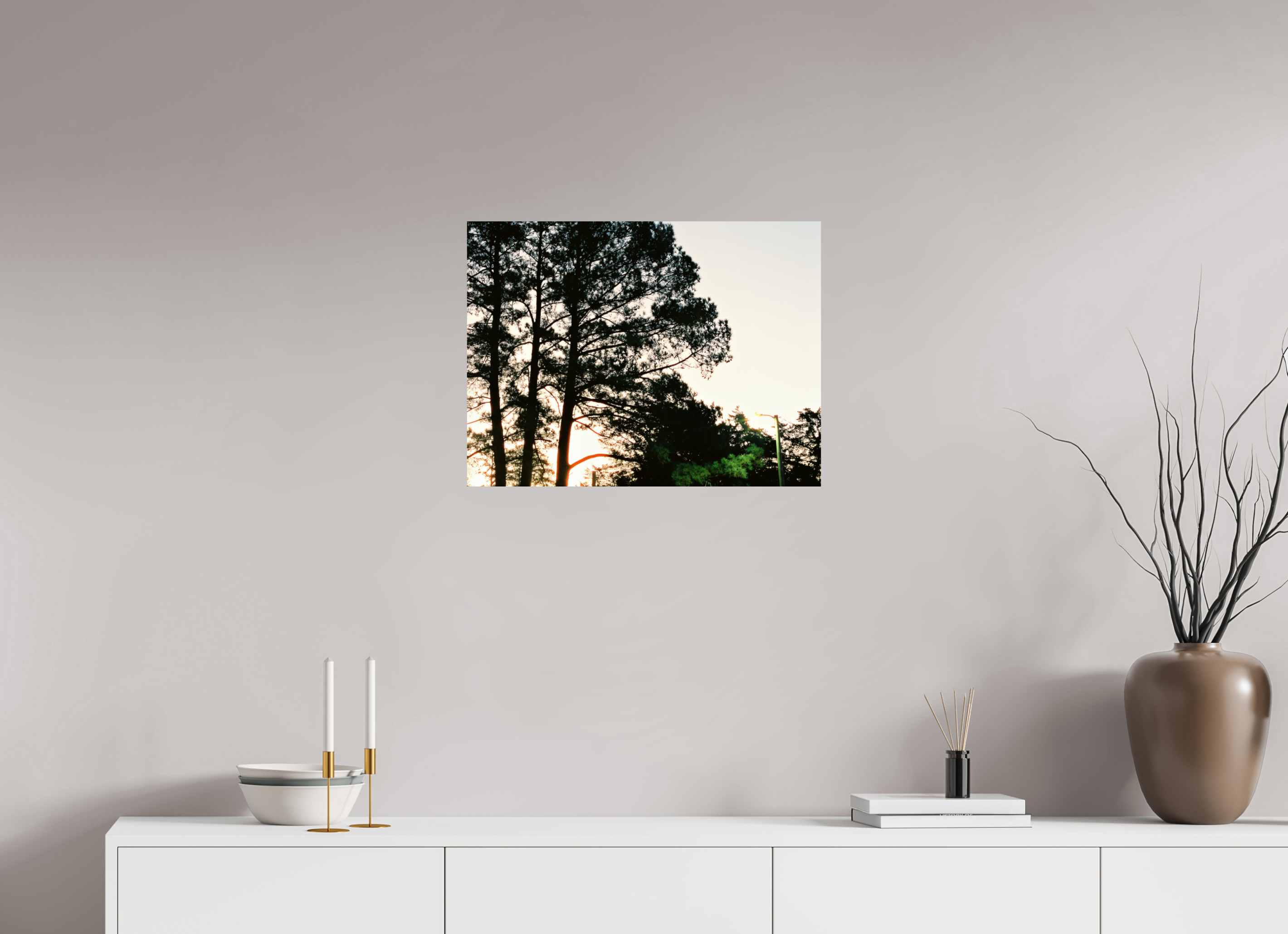 24 x 18″, Photo Print On Fuji Crystal DP II Pine Trees at Dawn No. 2