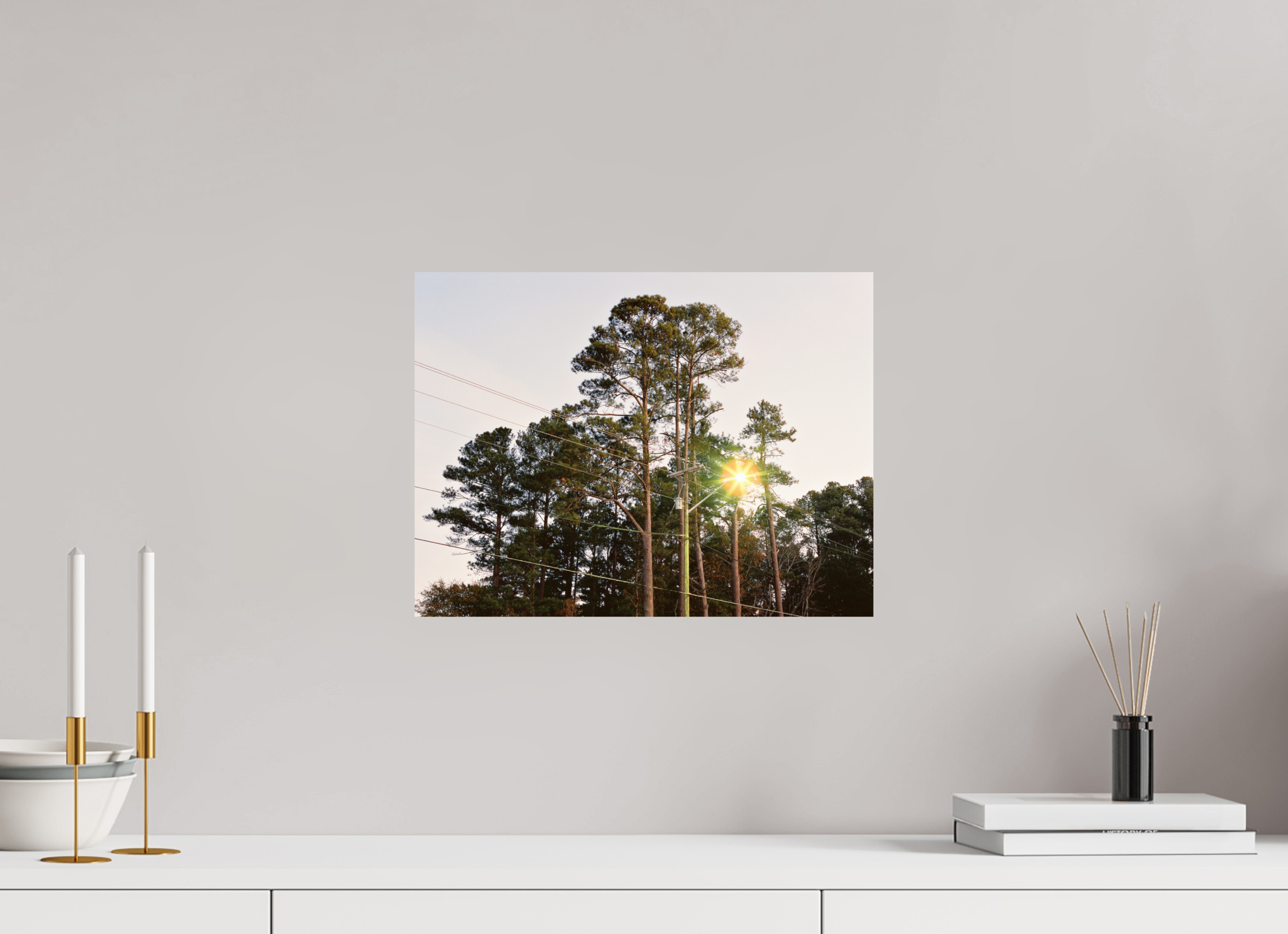 16 x 12″, Photo Print On Fuji Crystal DP II Pine Trees at Dawn No. 1
