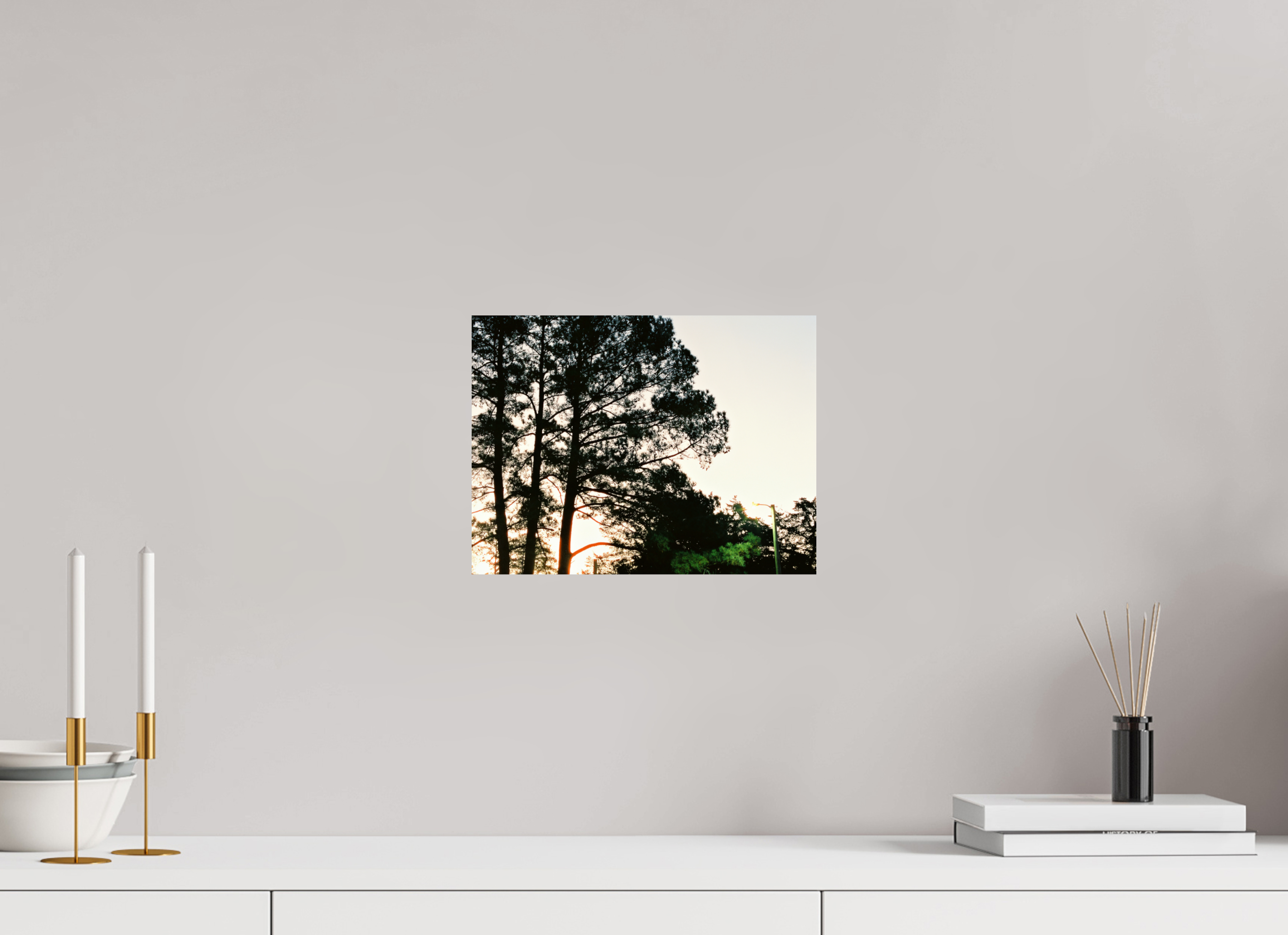 12 x 9″, Photo Print On Fuji Crystal DP II Pine Trees at Dawn No. 2