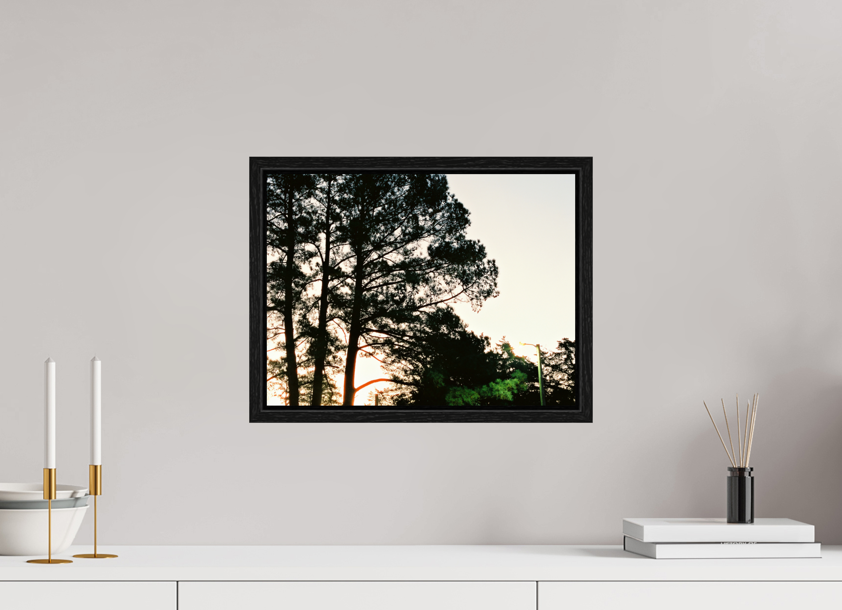 16 x 12″, Floater Frame Pine Trees at Dawn No. 2