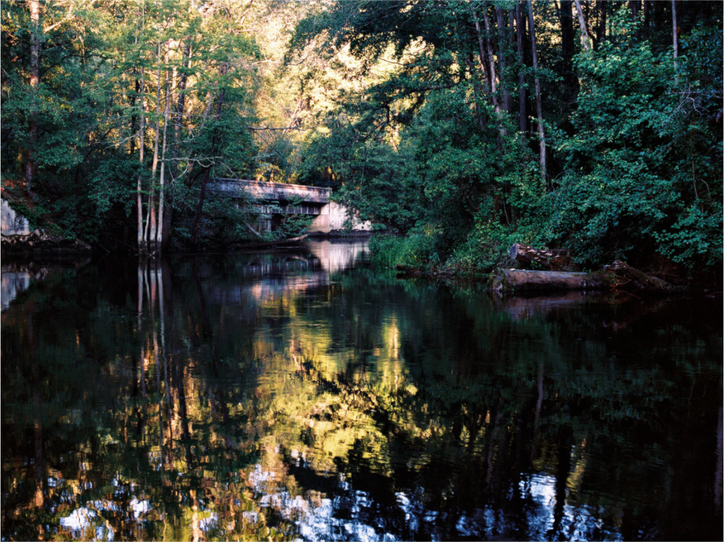 Main image Gilchrist Bridge and Lumber River in Summer
