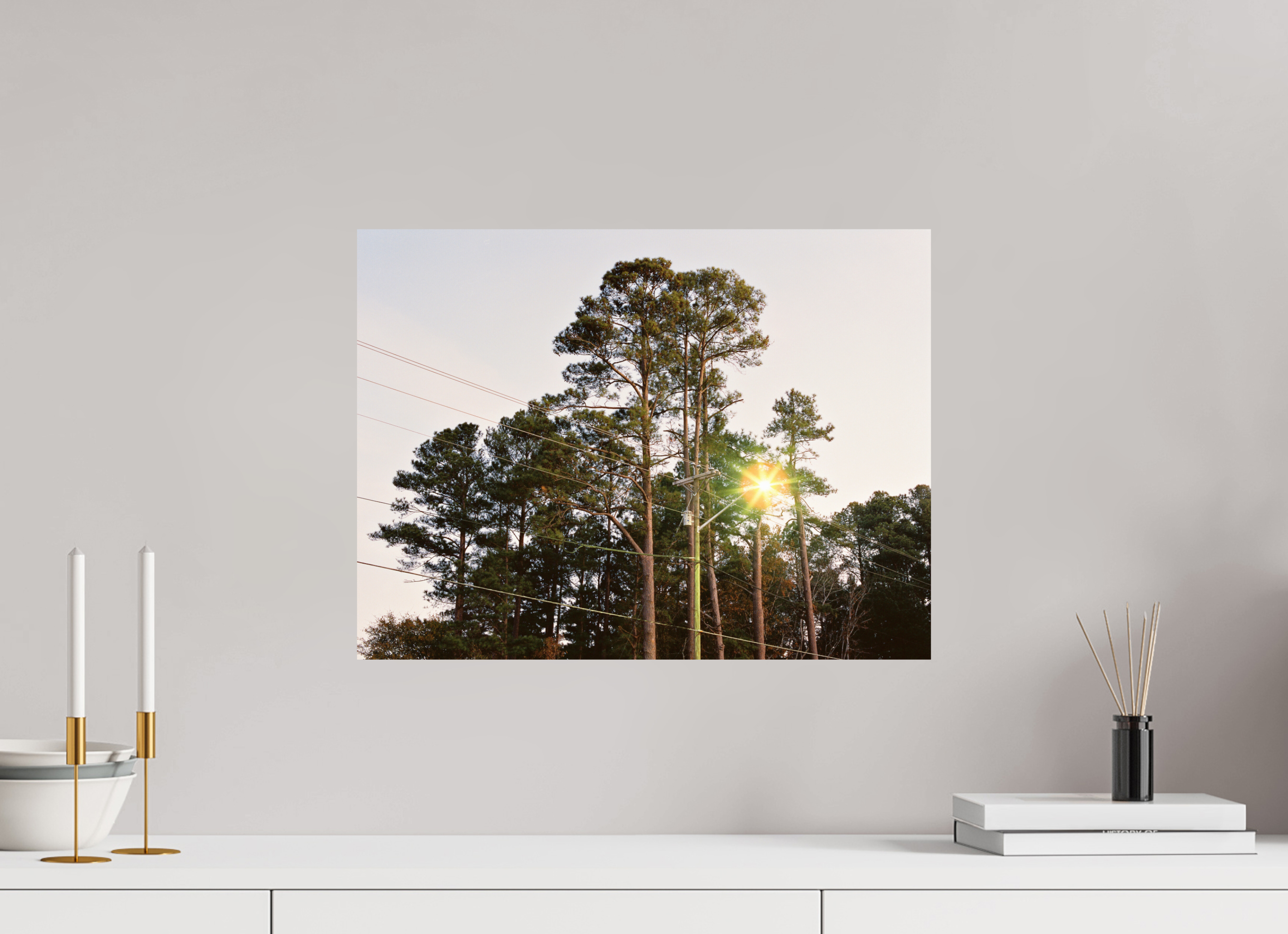 20 x 15″, Photo Print On Fuji Crystal DP II Pine Trees at Dawn No. 1