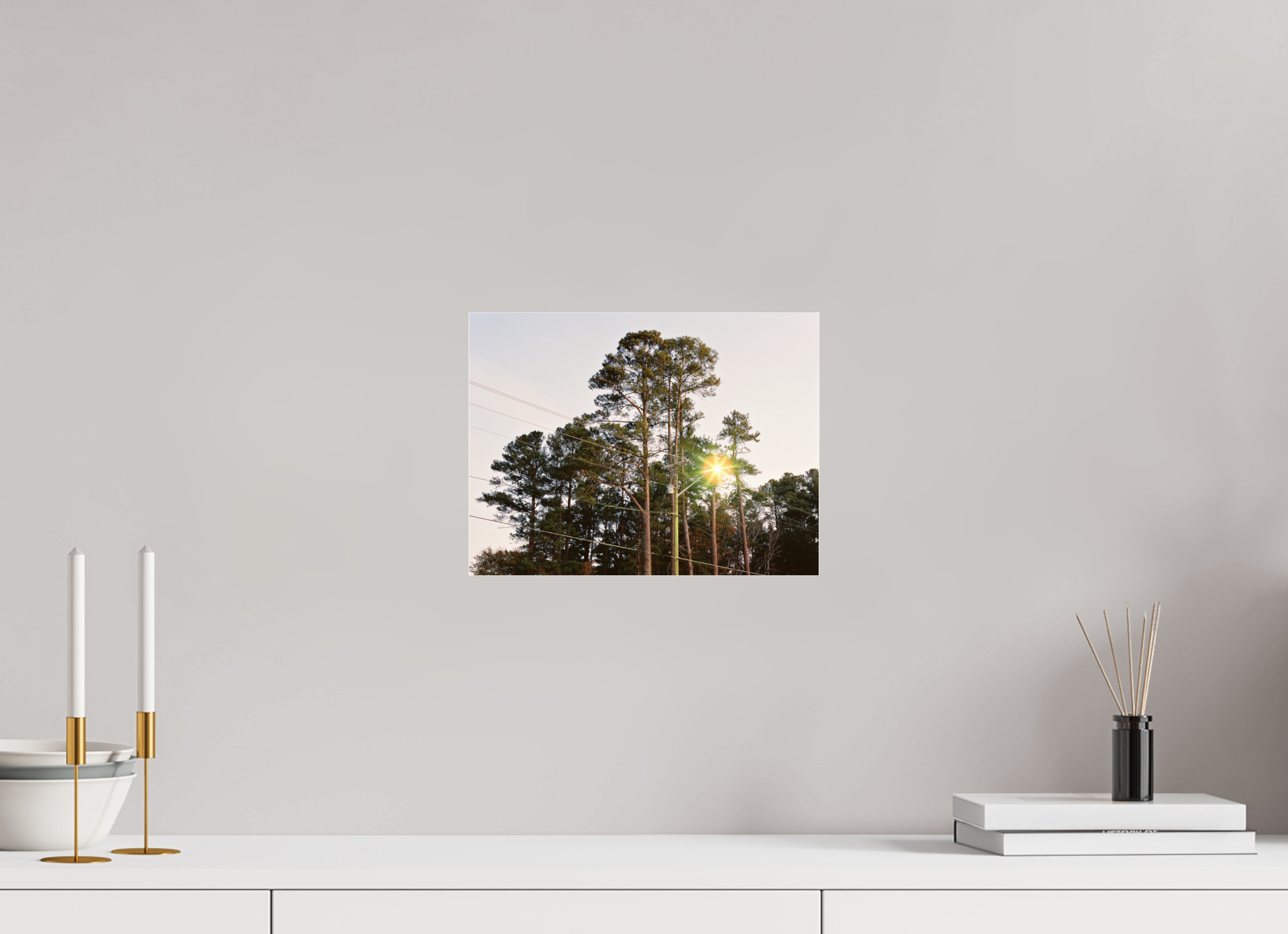 12 x 9″, Photo Print Under Acrylic Glass Pine Trees at Dawn No. 1