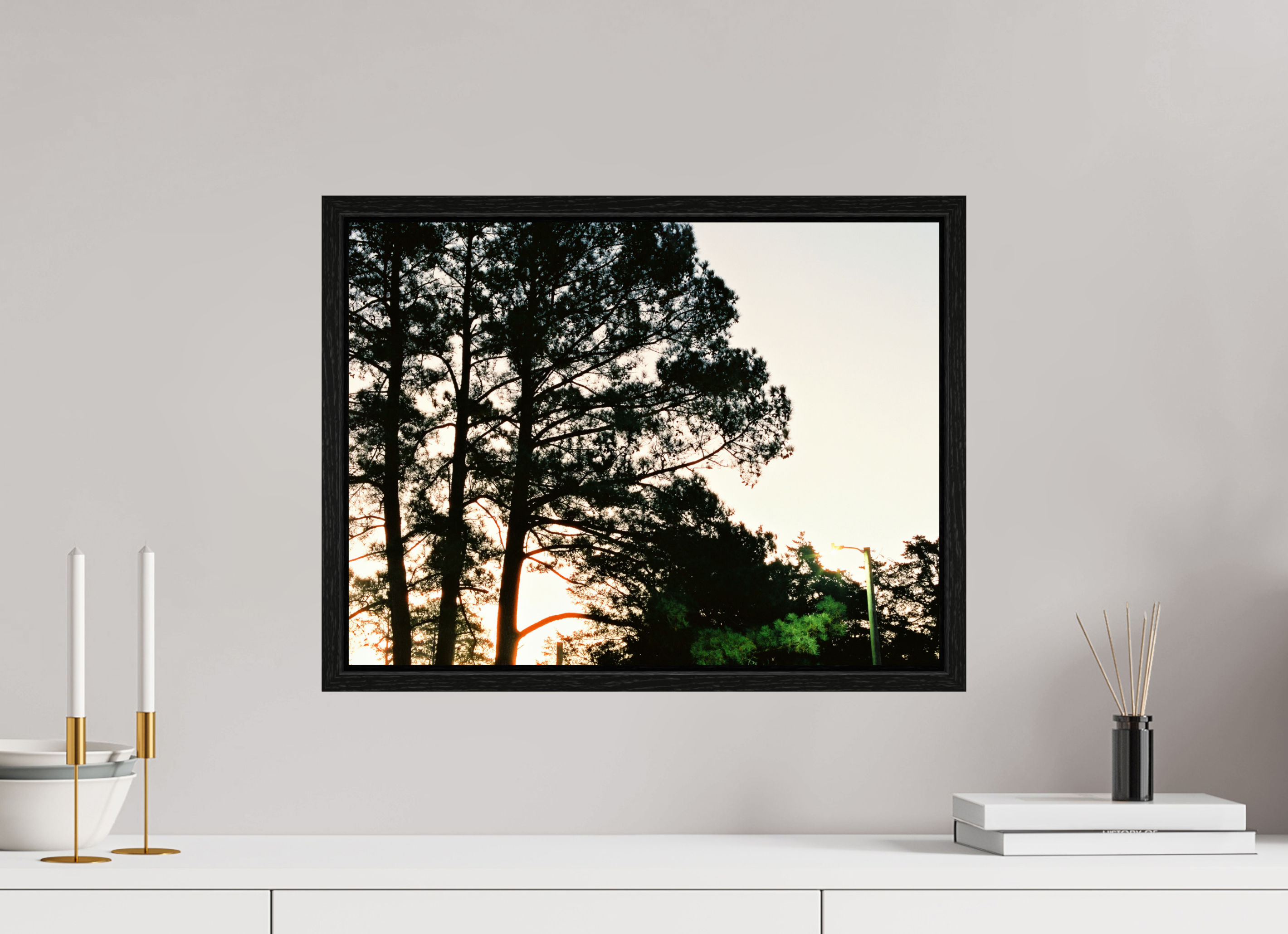 20 x 15″, Floater Frame Pine Trees at Dawn No. 2