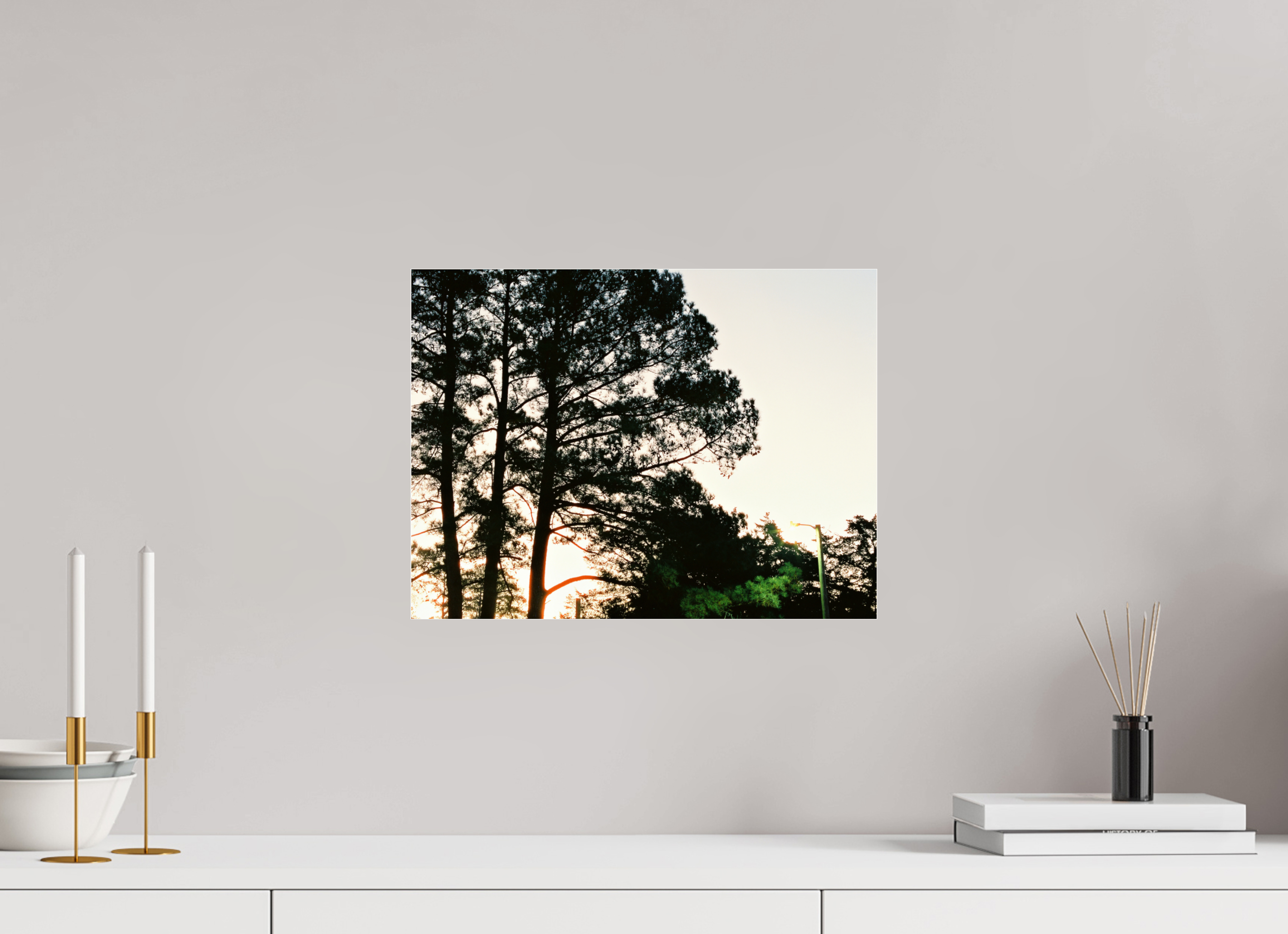 16 x 12″, Photo Print Under Acrylic Glass Pine Trees at Dawn No. 2
