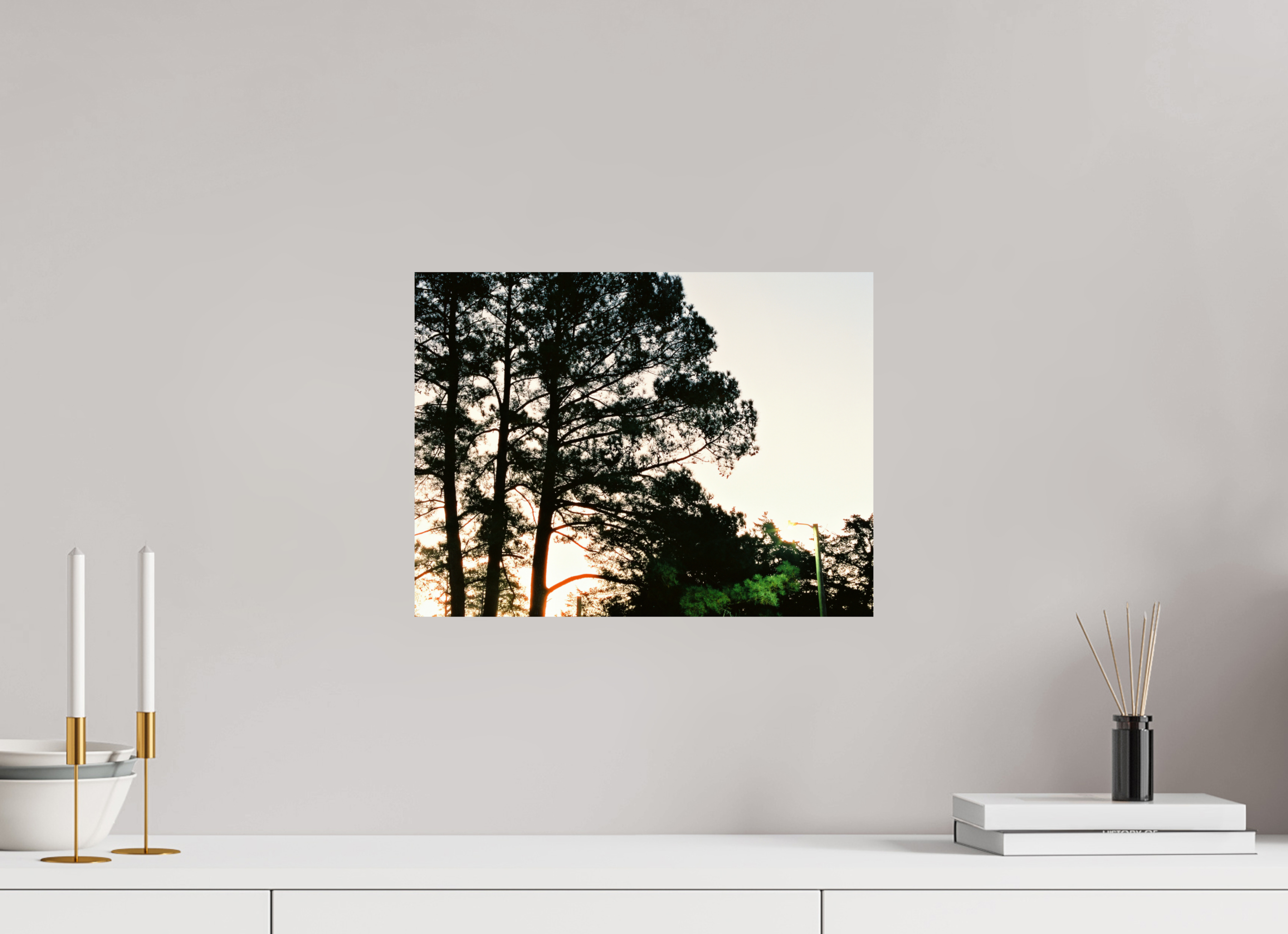 16 x 12″, Photo Print On Fuji Crystal DP II Pine Trees at Dawn No. 2