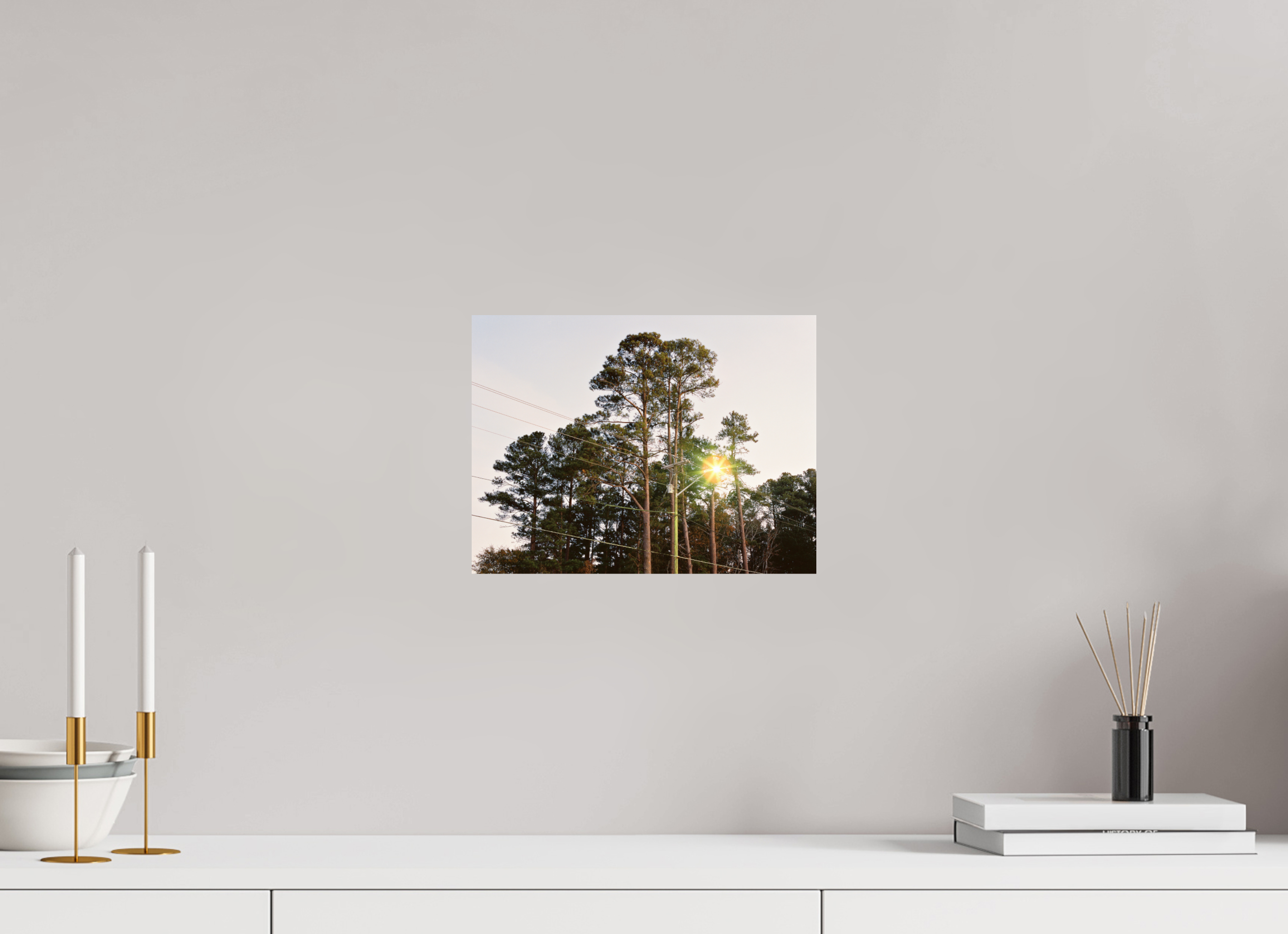 12 x 9″, Photo Print On Fuji Crystal DP II Pine Trees at Dawn No. 1