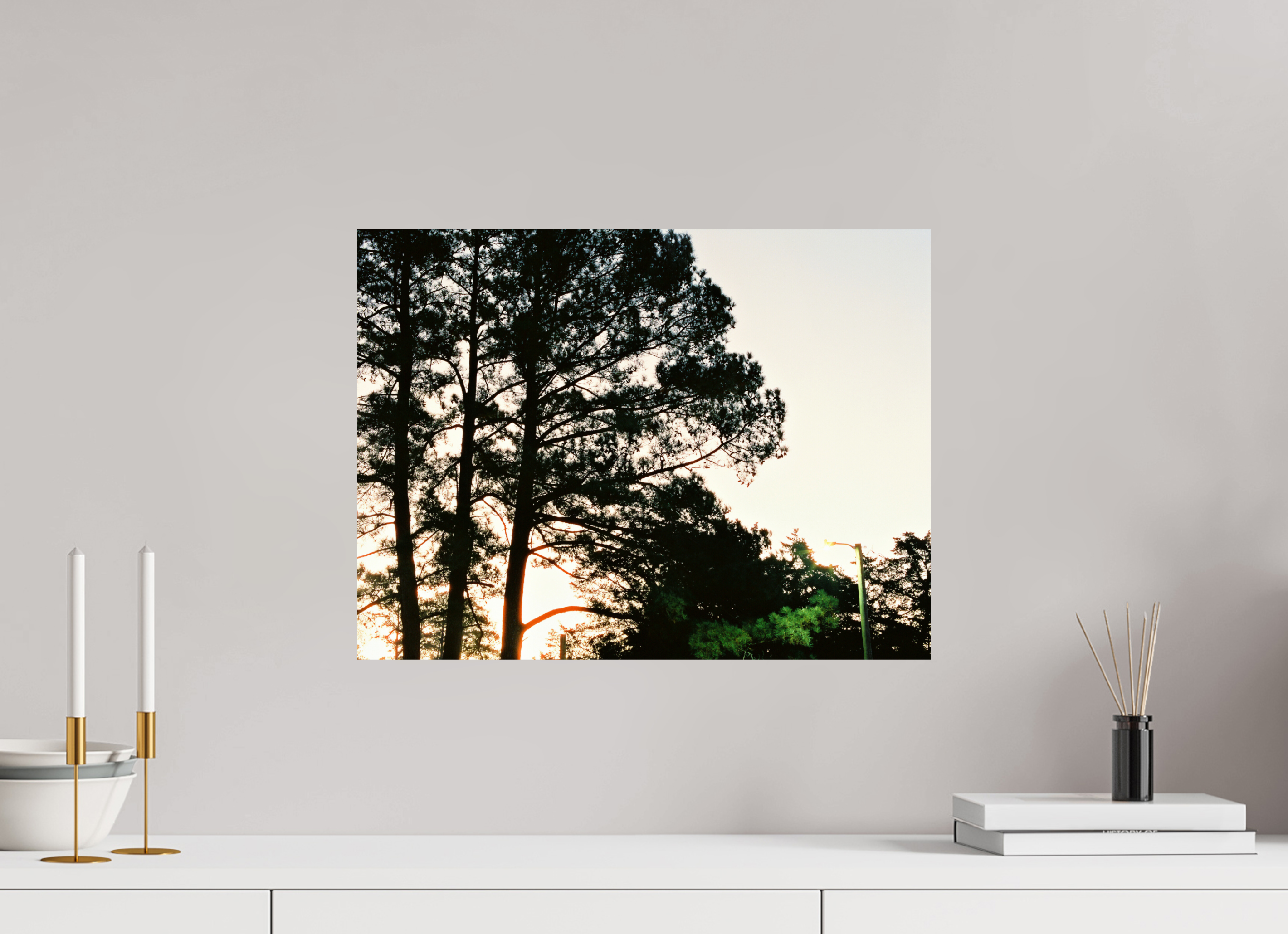 20 x 15″, Photo Print On Fuji Crystal DP II Pine Trees at Dawn No. 2