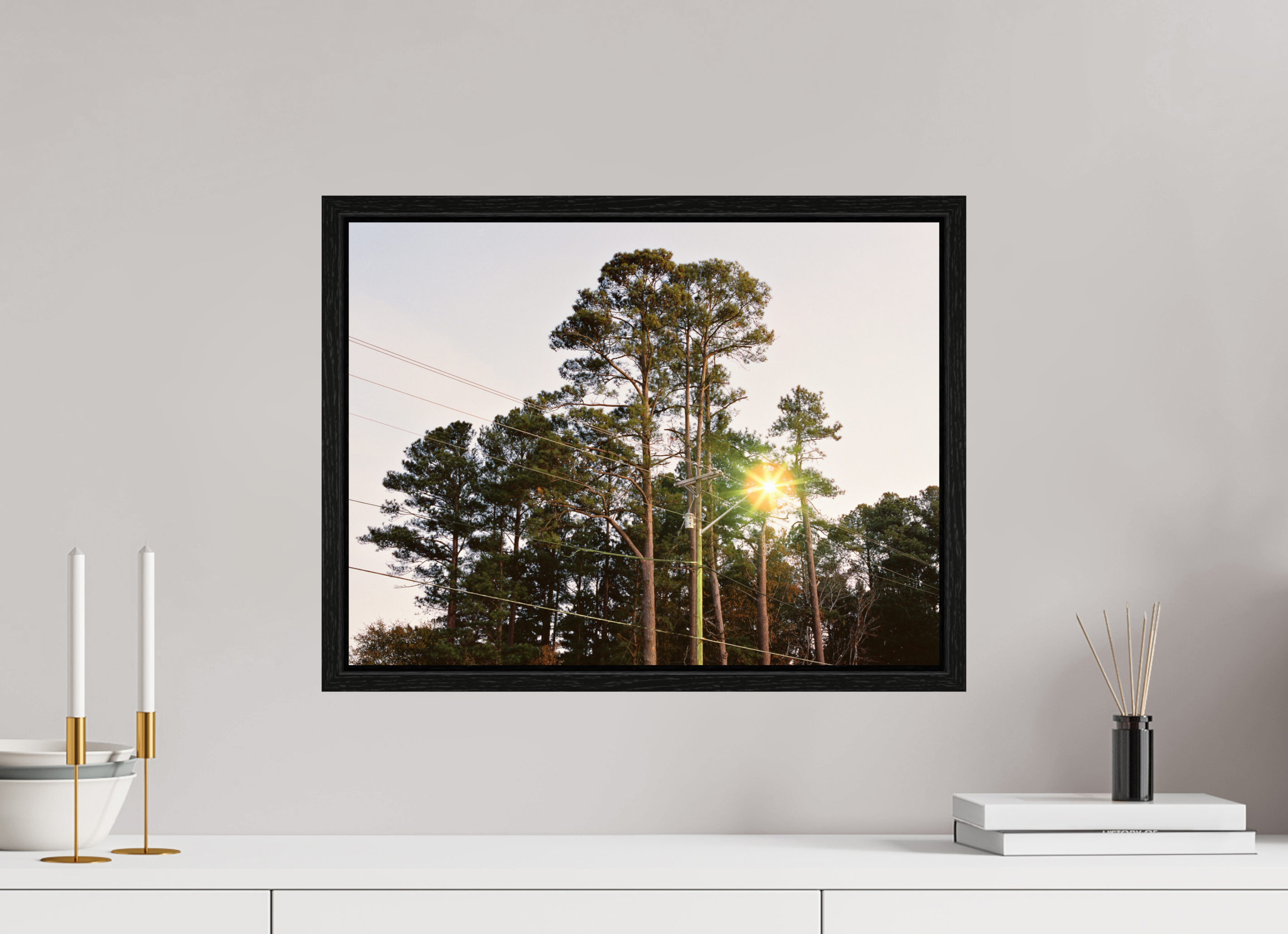 20 x 15″, Floater Frame Pine Trees at Dawn No. 1